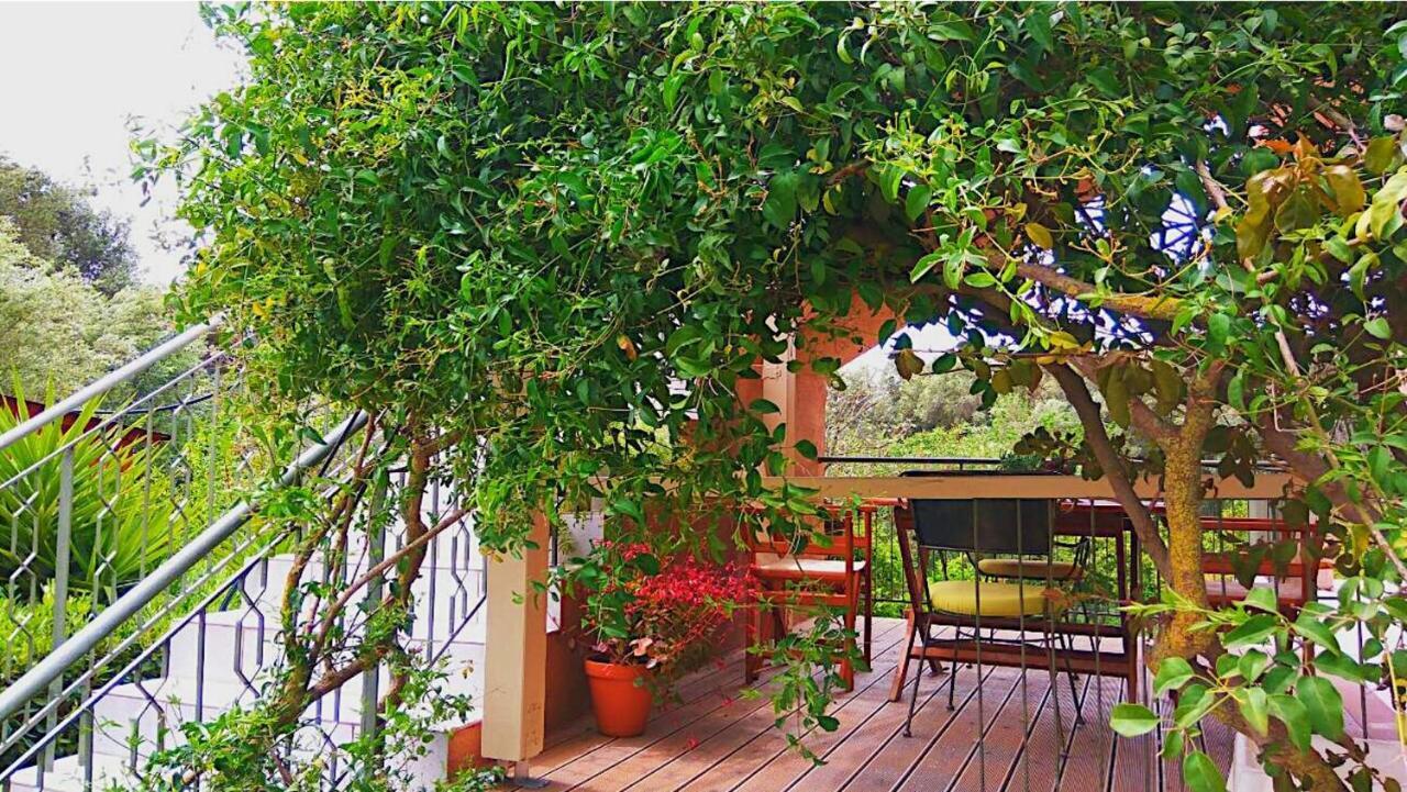 Kefalonia Apartments - Marias Studios - 2 Bedroom Apartment In Orchard, Spartia Eksteriør bilde